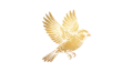 Sparrow Digital Studios